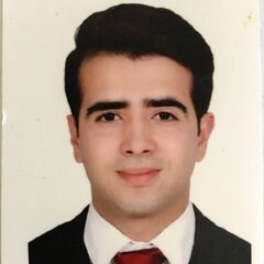 Bassem Zouch, Project manager intern 