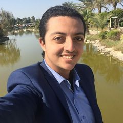 Mohamed Elsoudy, business partner