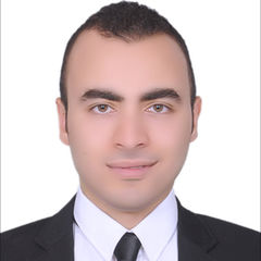 محمد طلعت, محاسب