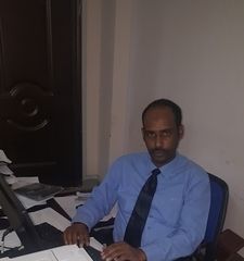 Adlan Mohamed Ali, Internal Audit
