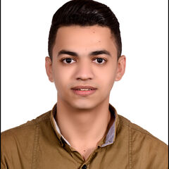 abdelrahman elmessawy