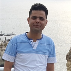 Najeeb Mahdi, Foreign Relationships and Partnerships Manager