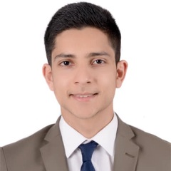 Mohamed Kerkeni, Junior financial analyst