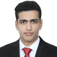 Mohamed Alsayed