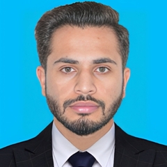 Hammad Hussain, Internee Engineer