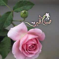 Usav ouklsh  Samera ziaky  Zghoul