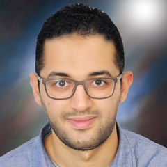 Hani Mahmoud Abduo Nasif, Sr.Solutions Engineer | Project Manager
