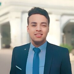 Mohab Mahmoud Mahmoud, Financial Analyst
