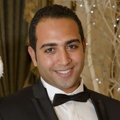 Waleed Medhat, Senior Petroleum Engineer