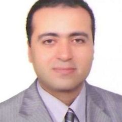 Mohammad Shalaby, Piping and HSE Specialist