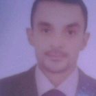 محمد السيد احمد جمال الدين جمال الدين المحامى, نائب مدير الشئون القانونية