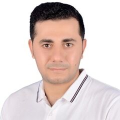 mahmoud hassan, قائد فريق مبيعات