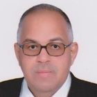 nouraldin ahmed mohamed, Area Sales / technical service manager 