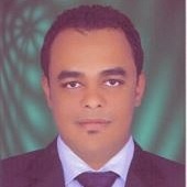 وليد محمد رافت, مهندس مدني