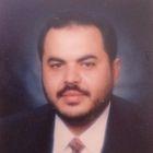 Mohammad Tohamy Hussein Hussein, Chief Executive Officer & ERP Architect