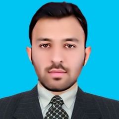 Qazi Nida Ur Rehman, Data & Surveillance Assistant