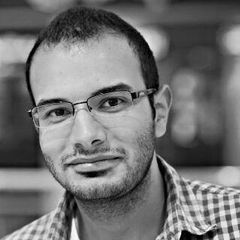 محمد شلبي, GIS Specialist