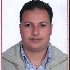 Ahmed fathy, project manager 