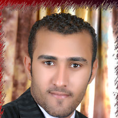 Mohamed Alsheshaey Hosny Elzohry