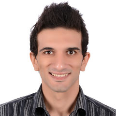 Muhammad El-Mogy, Site Architect