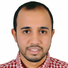 Mostafa Fouad, Service Engineer