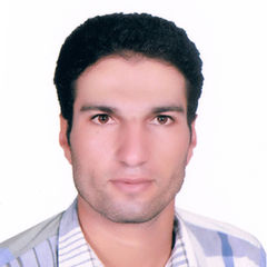 profile-ابومعاذ-الروبى-25886318