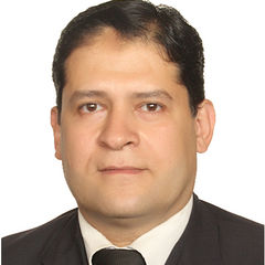 Samir Taha, Financial Auditior