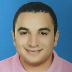Abdelrahman Elhamamsy, sales incharge