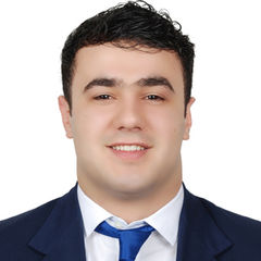 Samandar Safarov, Senior Sales Executive