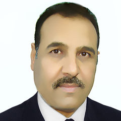 محمد احمد نجم الهاملي, رئيس ملاحظيين فني