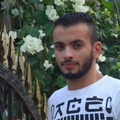 Ahmed samier Abd Elhameed