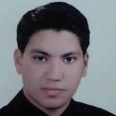 Mahmoud Youssef, Senior Software Developer