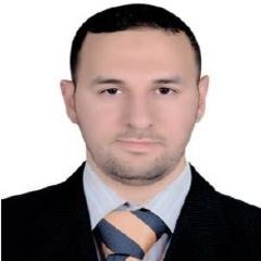 Amr Shalaby, MEP Coordinator