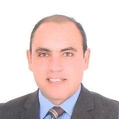 علاء الدين عبد الرازق فتحي عبد الرازق, Lecturer