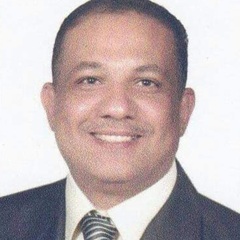 عمرو جابر, Sales Manager