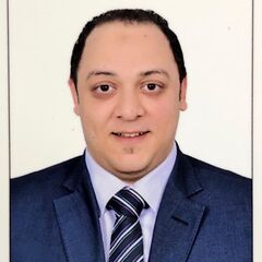 Ahmed Hanafy, Cost Accountant