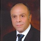 Fadi Beydoun, Founder - Consultant
