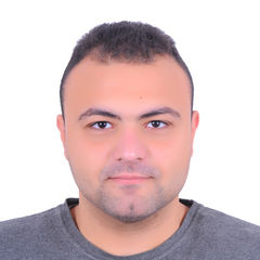 Mohamed Amin