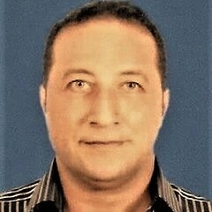 أيمن إبراهيم, Deputy Project Manager