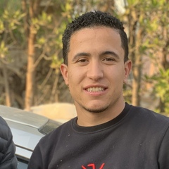 Samir Al Masry