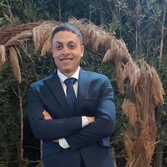 Ahmed Gamal Abdelsalam