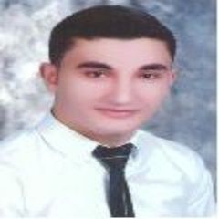 Ahmed Hany El-sayed Abdelaziz Kadoor, Senior Financial Accountant