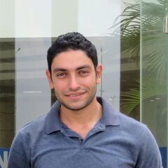 Ahmed Said, Software Project Coordinator