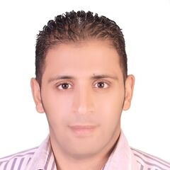 karim mohamed said el sahfey, IT Network Specialist