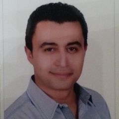 bassem mohamed sami abd el twab abd el twab, network administrator