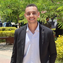 Ahmed Keshk