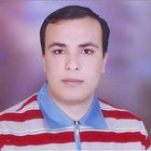 Tamer Elsayed Saad, Safety