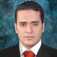 Mohamed ahmed mahmoud Hussein, محاسب