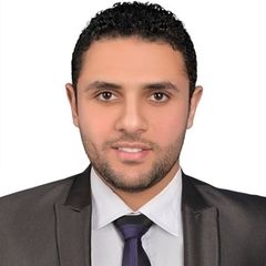 Mohamed Gaber, Supervisor