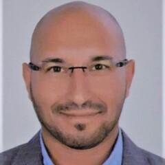 Mostafa Abdelfatah Abdelaziz Amro